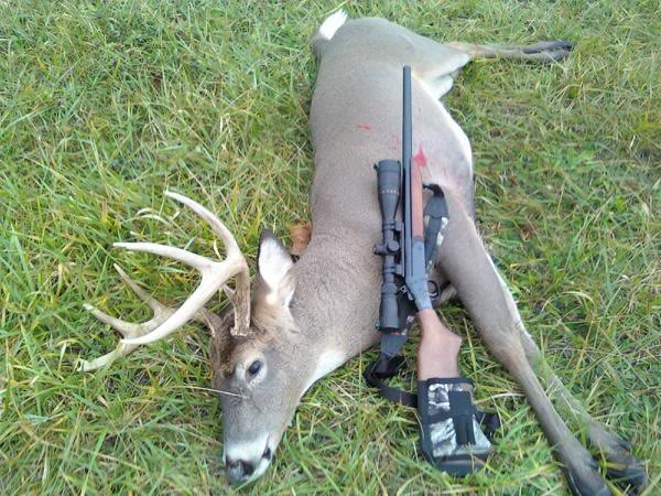 rifle deer hunting