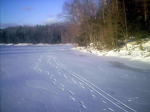 XC ski tracks on lake