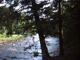 East Stony Creek from State Tent Sites off Hope Falls Road