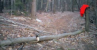 Volunteering to keep our trails open to traffic